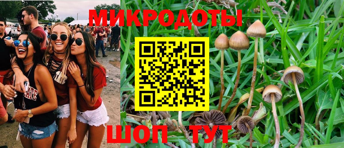 Галлюциногенные грибы Cubensis  Вход с VPN  Псков 